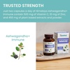 image:imageHimalaya Ashwagandha Focus  Herbal Focus Supplement with B12 Rosemary Green Tea and Bacopa Nootropics for Memory and Clarity  Vegan NonGMO Gluten Free 1690 mg 60 Caplets  Mental Focus Supplement with B12 Rosemary Green Tea amp Bacopa Nootropics for Memory amp Clarity  Vegan NonGMO Gluten FreeAshwagandha Immune