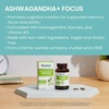 image:imageHimalaya Ashwagandha Focus  Herbal Focus Supplement with B12 Rosemary Green Tea and Bacopa Nootropics for Memory and Clarity  Vegan NonGMO Gluten Free 1690 mg 60 Caplets  Mental Focus Supplement with B12 Rosemary Green Tea amp Bacopa Nootropics for Memory amp Clarity  Vegan NonGMO Gluten FreeAshwagandha Focus