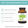 image:imageHimalaya Ashwagandha Focus  Herbal Focus Supplement with B12 Rosemary Green Tea and Bacopa Nootropics for Memory and Clarity  Vegan NonGMO Gluten Free 1690 mg 60 Caplets  Mental Focus Supplement with B12 Rosemary Green Tea amp Bacopa Nootropics for Memory amp Clarity  Vegan NonGMO Gluten FreeAshwagandha Focus
