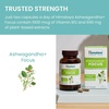 image:imageHimalaya Ashwagandha Focus  Herbal Focus Supplement with B12 Rosemary Green Tea and Bacopa Nootropics for Memory and Clarity  Vegan NonGMO Gluten Free 1690 mg 60 Caplets  Mental Focus Supplement with B12 Rosemary Green Tea amp Bacopa Nootropics for Memory amp Clarity  Vegan NonGMO Gluten FreeAshwagandha Focus