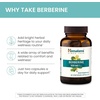 image:imageHimalaya Berberine Supplement 1000 mg per Serving 60 Capsules 2 Pack  GLP1 routine compatible Berberine HCL Herbal Supplement for Supporting Normal Metabolism Immune amp Digestive HealthVegan60 Count Pack of 2