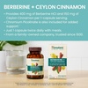 image:imageHimalaya Berberine with Ceylon Cinnamon 60 Capsules Vegan Gluten Free  GLP1 Routine Compatible Herbal Supplement for Supporting Normal Metabolism Immune amp Digestive Health Berberine HCI