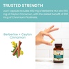 image:imageHimalaya Berberine with Ceylon Cinnamon 60 Capsules Vegan Gluten Free  GLP1 Routine Compatible Herbal Supplement for Supporting Normal Metabolism Immune amp Digestive Health Berberine HCI