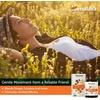 image:imageHimalaya ComfortCleanse for Detox and Gentle Colon Cleanse amp Occasional Constipation Vegetarian 500 mg 60 Capsules 1 Month Supply