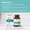 image:imageHimalaya Dandelion Root Supplement 1000 mg 60 Capsules  Dandelion Root Supplement Supporting Daily Wellness amp Health  Vegan Gluten Free Non GMO