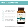 image:imageHimalaya Dandelion Root Supplement 1000 mg 60 Capsules  Dandelion Root Supplement Supporting Daily Wellness amp Health  Vegan Gluten Free Non GMO