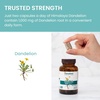 image:imageHimalaya Dandelion Root Supplement 1000 mg 60 Capsules  Dandelion Root Supplement Supporting Daily Wellness amp Health  Vegan Gluten Free Non GMO