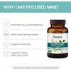 image:imageHimalaya Focused Mind Supplement with Vitamin B12 60 Vegan Capsules  Focus amp Energy Support with Ashwagandha Bacopa amp LTheanine for Attention Brain Supplements for Memory amp Focus Gluten Free