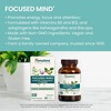 image:imageHimalaya Focused Mind Supplement with Vitamin B12 60 Vegan Capsules  Focus amp Energy Support with Ashwagandha Bacopa amp LTheanine for Attention Brain Supplements for Memory amp Focus Gluten Free