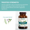 image:imageHimalaya Focused Mind Supplement with Vitamin B12 60 Vegan Capsules  Focus amp Energy Support with Ashwagandha Bacopa amp LTheanine for Attention Brain Supplements for Memory amp Focus Gluten Free