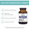 image:imageHimalaya Hello Energy with Ashwagandha for Adrenal Support amp Daily Energy and amp Ashwagandha Immune with Vitamin C for Active Immune Support 60 Capsules Each  Bundle