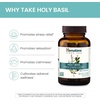 image:imageHimalaya Holy Basil Supplement Reduce Cortisol 720mg 60 Capsules  Support for Stress Relief Healthy Cortisol Level Relaxation Energy Support amp Occasional Sleeplessness  Vegan NonGMO60 Count Pack of 2