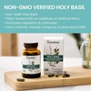 image:imageHimalaya Holy Basil Supplement Reduce Cortisol 720mg 60 Capsules  Support for Stress Relief Healthy Cortisol Level Relaxation Energy Support amp Occasional Sleeplessness  Vegan NonGMO60 Count Pack of 2
