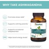 image:imageHimalaya Organic Ashwagandha 60ct for Energy Support amp Occasional Sleeplessness Plus Whitening Complete Care Toothpaste Fluoride Free Mint Flavor  2Product Bundle