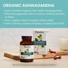 image:imageHimalaya Organic Ashwagandha 60ct for Energy Support amp Occasional Sleeplessness Plus Whitening Complete Care Toothpaste Fluoride Free Mint Flavor  2Product Bundle
