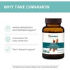 image:imageHimalaya Organic Cinnamon Cinnamon Supplements 30 Day Supply  Herbal Glucose Metabolism Support  USDA Organic NonGMO Vegan Gluten Free 1100 mg 60 Tablets  Ceylon Cinnamon Supplements Ceylon Cinnamon Extract Herbal Glucose Metabolism Support  NonGMO Vegan Gluten Free