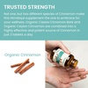 image:imageHimalaya Organic Cinnamon Cinnamon Supplements 30 Day Supply  Herbal Glucose Metabolism Support  USDA Organic NonGMO Vegan Gluten Free 1100 mg 60 Tablets  Ceylon Cinnamon Supplements Ceylon Cinnamon Extract Herbal Glucose Metabolism Support  NonGMO Vegan Gluten Free