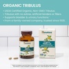image:imageHimalaya Organic Tribulus Terrestris  Herbal Supplement for Bladder Control Male Endurance Prostate and Libido Support  Vegan NonGMO Gluten Free 688 mg 60 Caplets  Himalaya Organic Tribulus Terrestris Herbal Supplement 688 mg 60 Caplets