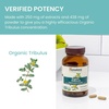 image:imageHimalaya Organic Tribulus Terrestris  Herbal Supplement for Bladder Control Male Endurance Prostate and Libido Support  Vegan NonGMO Gluten Free 688 mg 60 Caplets  Himalaya Organic Tribulus Terrestris Herbal Supplement 688 mg 60 Caplets
