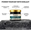 image:imageHimalaya Shilajit  Herbal Energy Supplements with Fulvic Acid and 85 Trace Minerals from Shilajit Resin Vegan NonGMO Gluten Free 250 mg 60 Capsules  Herbal Energy Supplement From Himalaya Shilajit Resin With Fulvic Acid For Stamina and Reduced FatigueVegan NonGMO07 Ounce Pack of 1