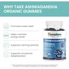 image:imageHimalaya USDA Organic Ashwagandha Root 670 mg 120 Day Supply 120 Caplets  Herbal Adrenal Support Supplements for Stress Relief amp Energy Support  USDA Organic NonGMO Vegan Gluten Free60 Count Pack of 2
