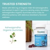image:imageHimalaya USDA Organic Ashwagandha Root 670 mg 120 Day Supply 120 Caplets  Herbal Adrenal Support Supplements for Stress Relief amp Energy Support  USDA Organic NonGMO Vegan Gluten Free60 Count Pack of 1