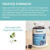 image:imageHimalaya USDA Organic Ashwagandha Root 670 mg 120 Day Supply 120 Caplets  Herbal Adrenal Support Supplements for Stress Relief amp Energy Support  USDA Organic NonGMO Vegan Gluten Free60 Count Pack of 2