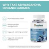 image:imageHimalaya USDA Organic Ashwagandha Root 670 mg 120 Day Supply 120 Caplets  Herbal Adrenal Support Supplements for Stress Relief amp Energy Support  USDA Organic NonGMO Vegan Gluten Free60 Count Pack of 1
