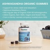 image:imageHimalaya USDA Organic Ashwagandha Root 670 mg 120 Day Supply 120 Caplets  Herbal Adrenal Support Supplements for Stress Relief amp Energy Support  USDA Organic NonGMO Vegan Gluten Free60 Count Pack of 2