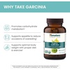 image:imageHimalaya USDA Organic Garcinia Cambogia 600 mg 60 Caplets 2 Pack  Herbal Supplement For Appetite Support Lipid Metabolism amp Weight Support  NonGMO Vegan NonGMO60 Count Pack of 1