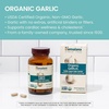 image:imageHimalaya USDA Organic Garlic Supplements 1400 mg 60 Caplets 2 Pack  Herbal Garlic Capsules for Lipid Metabolism amp Immune Support Garlic Pills Garlic Extract Support Cholesterol Levels Vegan60 Count Pack of 1