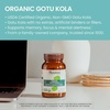 image:imageHimalaya USDA Organic Gotu Kola Capsules 650 mg 90 Caplets 2 Pack  Herbal Nootropic Gotu Kola Supplement with Adaptogens for Energy Focus Memory amp Calming Relaxation  Vegan Gluten Free90 Count Pack of 2