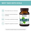 image:imageHimalaya USDA Organic Gotu Kola Capsules 650 mg 90 Caplets 2 Pack  Herbal Nootropic Gotu Kola Supplement with Adaptogens for Energy Focus Memory amp Calming Relaxation  Vegan Gluten Free90 Count Pack of 1
