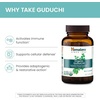 image:imageHimalaya USDA Organic Guduchi Supplement 700 mg 60 Caplets  Herbal Active Immune Support Supplement with Antioxidant Support for Cellular Defense  Vegan NonGMO Gluten Free60 Count Pack of 2