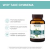 image:imageHimalaya USDA Organic Gymnema Sylvestre Extract 700mgGymnema Sylvestre SupplementsHerbal Glucose Metabolism SupportGymnema Sylvestre CapsulesNonGMO Vegan Gluten FreeAdditive Free60 Caplets60 Count Pack of 1