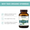 image:imageHimalaya USDA Organic Gymnema Sylvestre Extract 700mgGymnema Sylvestre SupplementsHerbal Glucose Metabolism SupportGymnema Sylvestre CapsulesNonGMO Vegan Gluten FreeAdditive Free60 Caplets60 Count Pack of 2