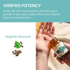 image:imageHimalaya USDA Organic Mucuna Pruriens Supplement 600 mg 60 Caplets  Mucuna Pruriens Extract for Calming Relaxation from Tension amp Promoting Brain Function  Vegan NonGMO Gluten Free60 Count Pack of 1