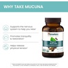 image:imageHimalaya USDA Organic Mucuna Pruriens Supplement 600 mg 60 Caplets  Mucuna Pruriens Extract for Calming Relaxation from Tension amp Promoting Brain Function  Vegan NonGMO Gluten Free60 Count Pack of 2