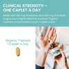 image:imageHimalaya USDA Organic Triphala Capsules Colon Cleanse 688 mg 30 Caplets  Digestive Health Supplement for Occasional Bloating amp Constipation Relief Triphala Capsules Organic Vegan NonGMO60 Count Pack of 1