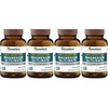 60 Count (Pack of 4)