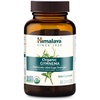 60 Count (Pack of 1)