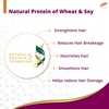 image:imageHimalaya Anti Breakage Shampoo Repairs Damaged Brittle Hair and Splitends 1353 oz400 ml Pack of 2Eclipta