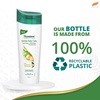 image:imageHimalaya Anti Breakage Shampoo Repairs Damaged Brittle Hair and Splitends 1353 oz400 ml Pack of 2Licorice