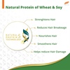 image:imageHimalaya Anti Breakage Shampoo Repairs Damaged Brittle Hair and Splitends 1353 oz400 ml Pack of 2Licorice