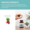 image:imageHimalaya Beet Root for Circulatory amp Vascular Wellness Support Vegan Gluten Free 500 mg Beet Root amp 100 mg Black Cumin Extract 60 Capsules  Herbal Supplement for Circulatory amp Vascular Wellness Support 500 mg Beet Root amp 100 mg Black Cumin Extract  Vegan
