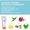 image:imageHimalaya Botanique Anticavity Fluoride Toothpaste Fluoride with MultiBenefit Support Fights Cavities Strengthens Enamel Promotes Remineralization Mint Flavor 4 oz  Fluoride Toothpaste MultiBenefit Support Fights Cavities Remineralizes amp Strengthens Enamel No SLS or Titanium Dioxide4 Ounce Pack of 2