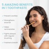 image:imageHimalaya Botanique Anticavity Fluoride Toothpaste Fluoride with MultiBenefit Support Fights Cavities Strengthens Enamel Promotes Remineralization Mint Flavor 4 oz  Fluoride Toothpaste MultiBenefit Support Fights Cavities Remineralizes amp Strengthens Enamel No SLS or Titanium Dioxide4 Ounce Pack of 4
