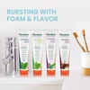 image:imageHimalaya Botanique Complete Care Toothpaste Cinnamon Flavor 529 oz  Fluoride Free Toothpaste with Xylitol amp Neem Fights Plaque Freshens BreathSLS FreeNo Artificial Flavors or ColorsVariety