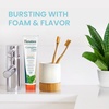 image:imageHimalaya Botanique Complete Care Toothpaste Cinnamon Flavor 529 oz  Fluoride Free Toothpaste with Xylitol amp Neem Fights Plaque Freshens BreathSLS FreeNo Artificial Flavors or ColorsMint