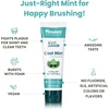image:imageHimalaya Botanique Kids Toothpaste with Xylitol Cool Mint 4 oz 2 Pack  Fluoride Free Kids ToothpasteGently fights plaque Toddler Toothpaste  Vegan SLS Free No Artificial Colors or Flavors